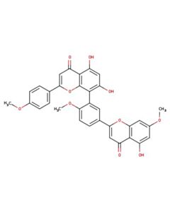 Astatech SCIADOPITYSIN; 0.5G; Purity 95%; MDL-MFCD00017448